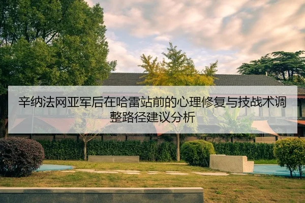 辛纳法网亚军后在哈雷站前的心理修复与技战术调整路径建议分析 - bsport